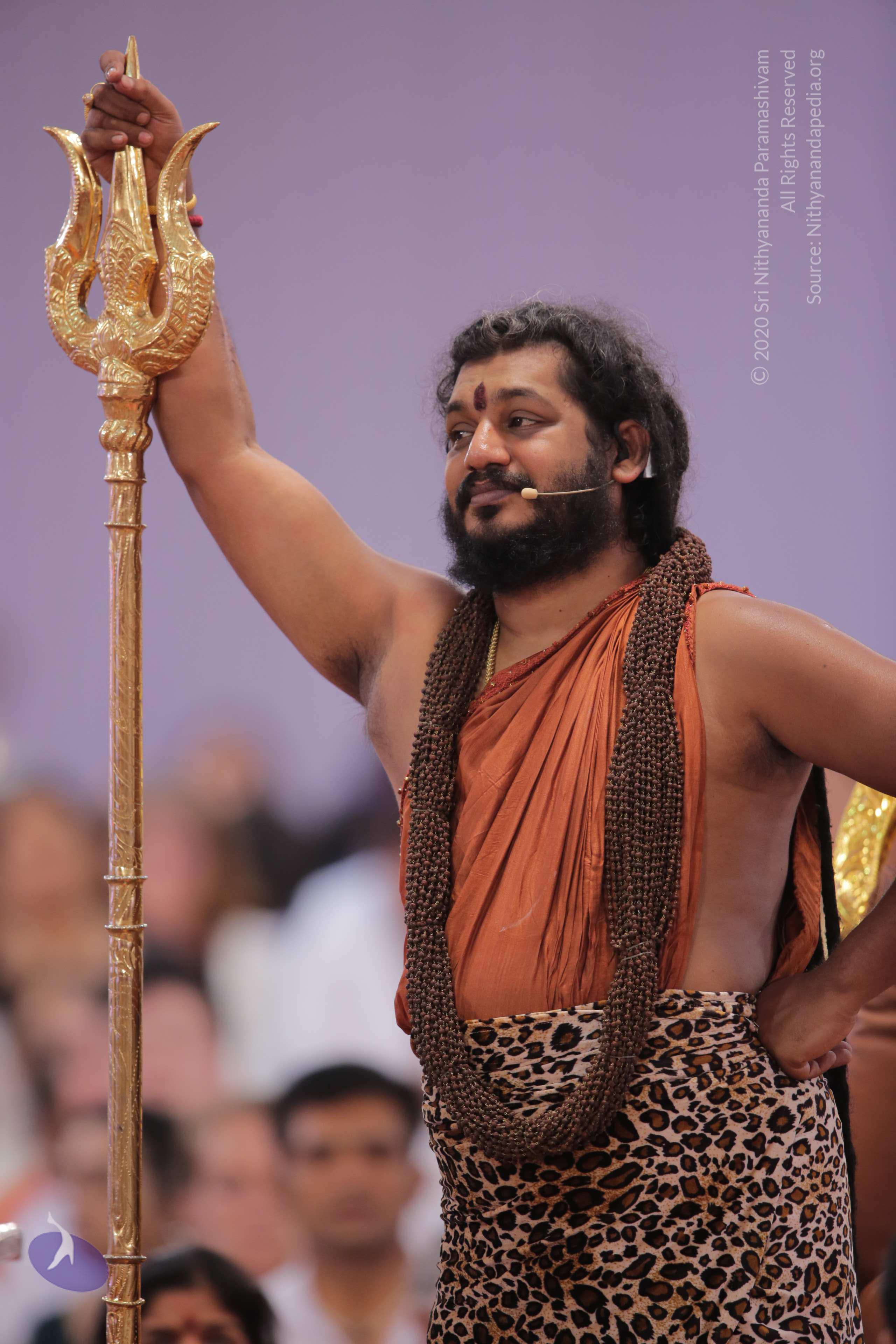 20161204_Photo_1102_G28A3852_CMP_WM